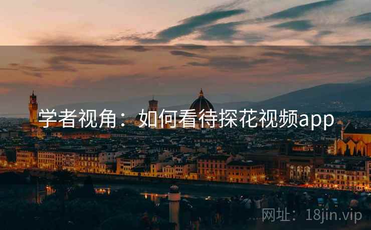 学者视角：如何看待探花视频app