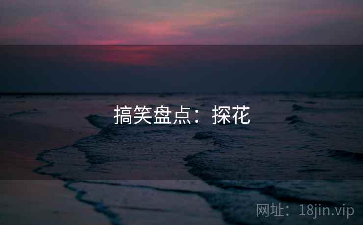 搞笑盘点：探花