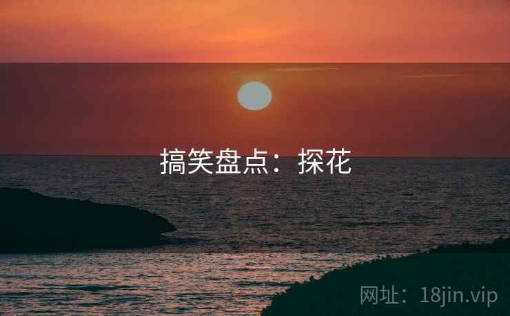 搞笑盘点：探花