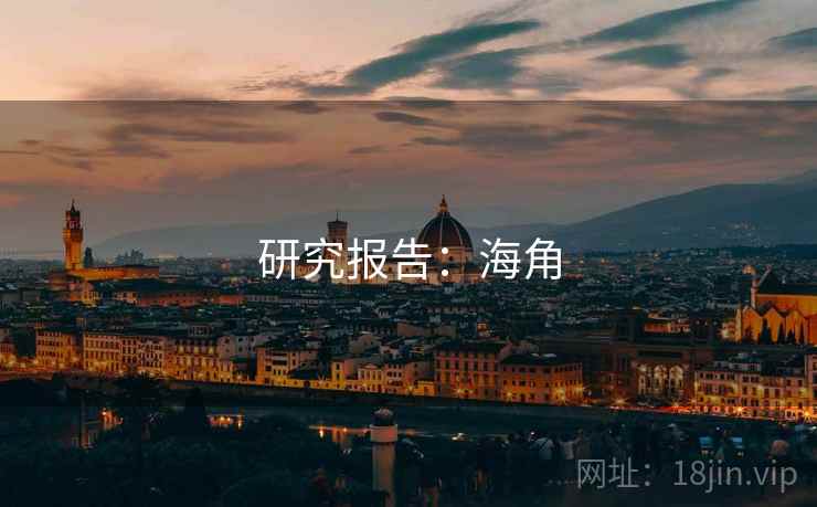 研究报告：海角
