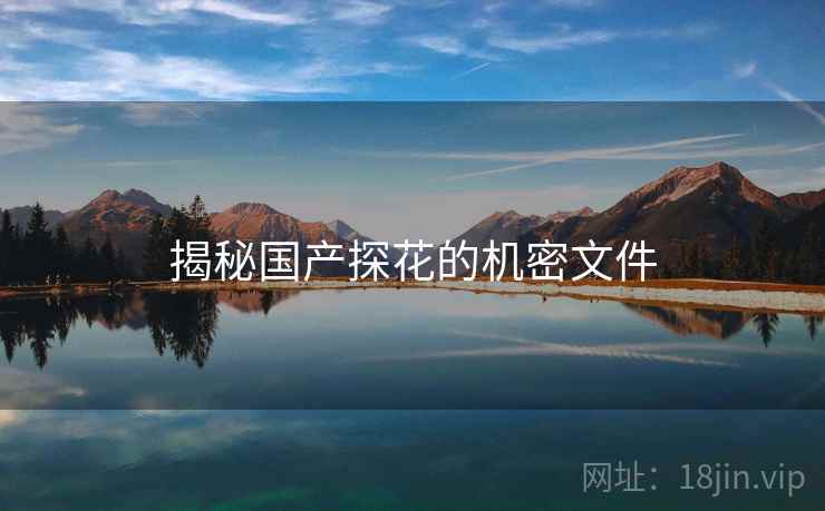 揭秘国产探花的机密文件 揭秘国产探花的机密文件
