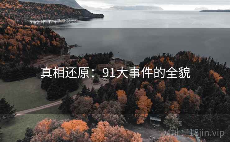 真相还原：91大事件的全貌