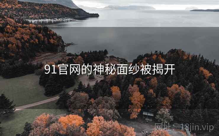 91官网的神秘面纱被揭开 91官网的神秘面纱被揭开